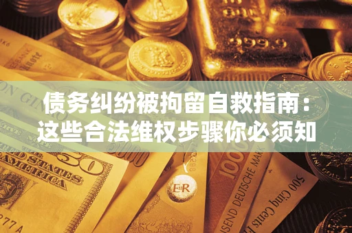武汉债务纠纷被拘留自救指南：这些合法维权步骤你必须知道！