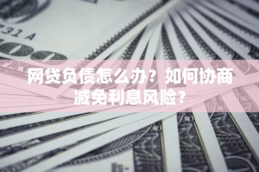 武汉网贷负债怎么办？如何协商减免利息风险？