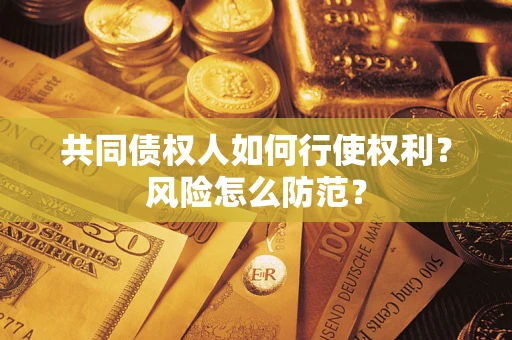 武汉共同债权人如何行使权利？风险怎么防范？