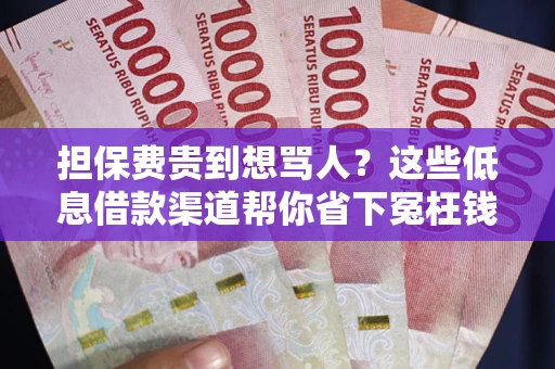 武汉担保费贵到想骂人？这些低息借款渠道帮你省下冤枉钱