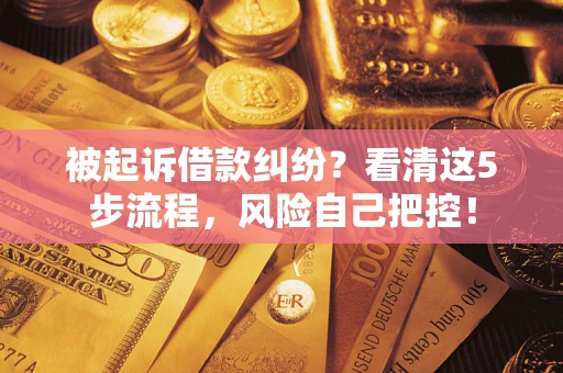 武汉被起诉借款纠纷？看清这5步流程，风险自己把控！