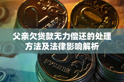武汉父亲欠贷款无力偿还的处理方法及法律影响解析